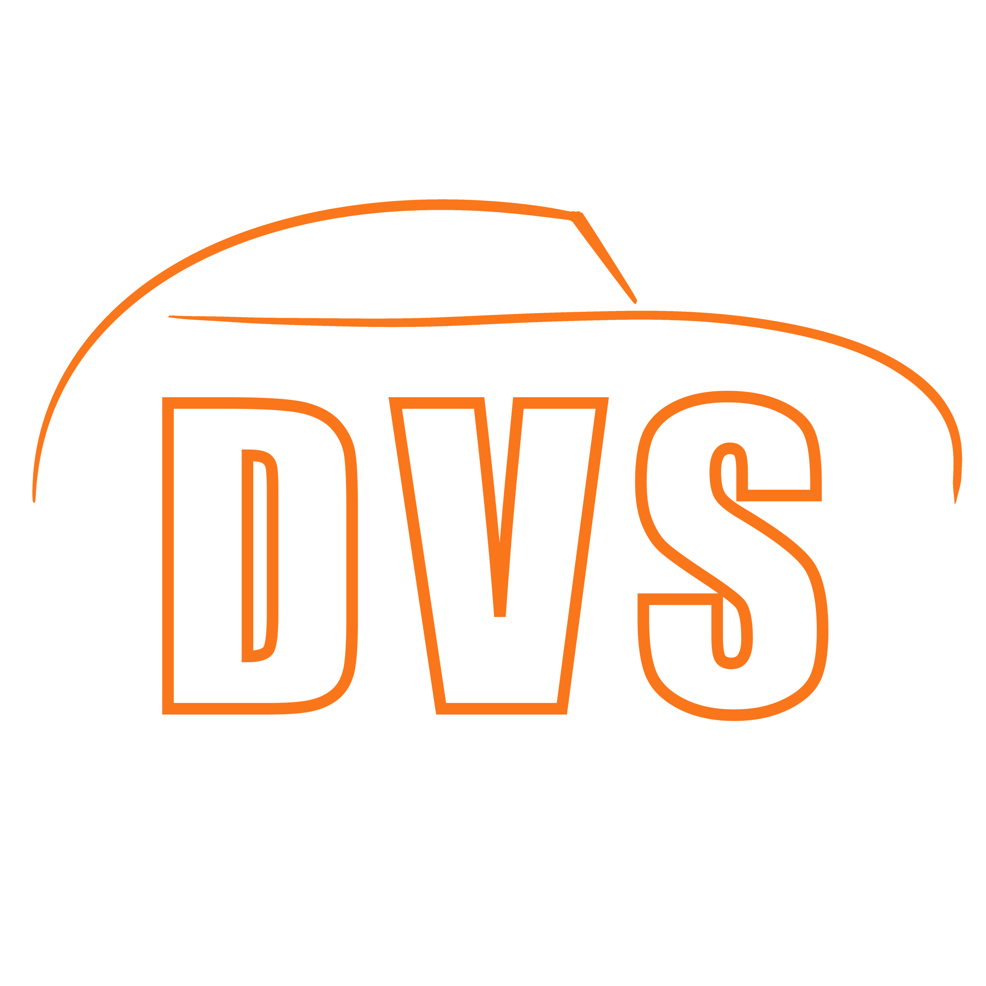 DVS Logo